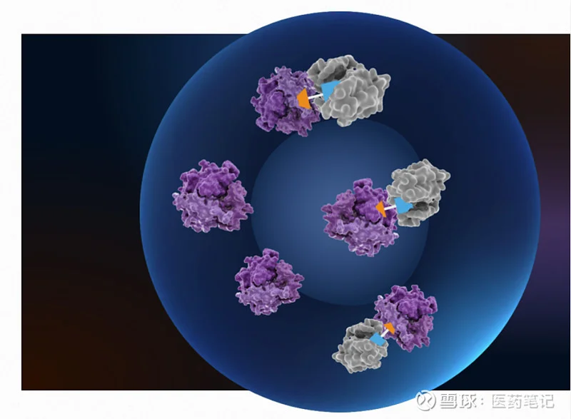Halda Therapeutics Acquired by J&J for $3B: What Happened and Why?
